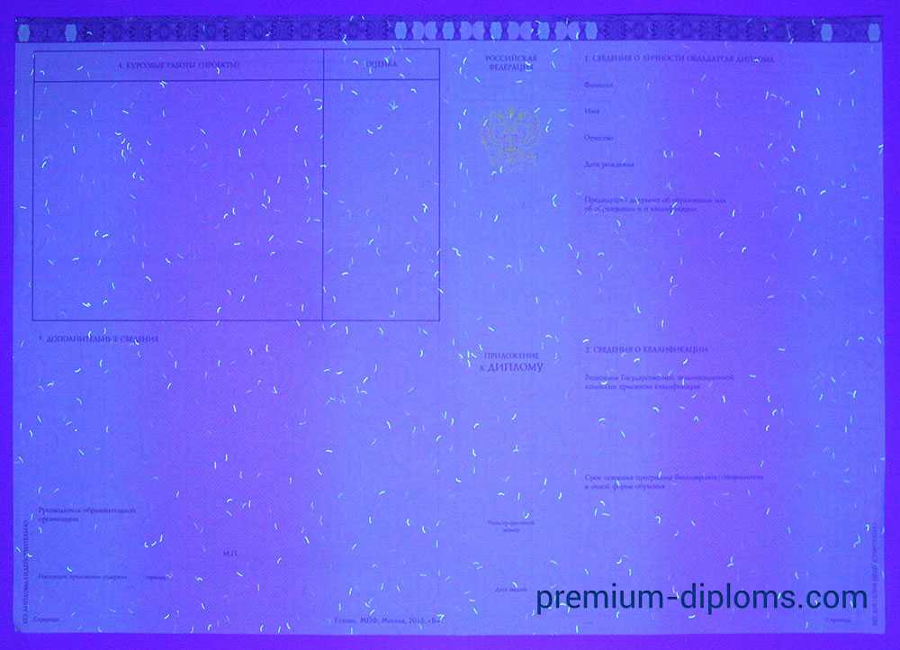 диплом специалист 2014-2020 год